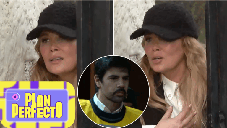 “Yo estoy sola”: El descargo de Cathy Barriga tras rechazo a solicitud de Joaquín Lavín León para salir a trabajar