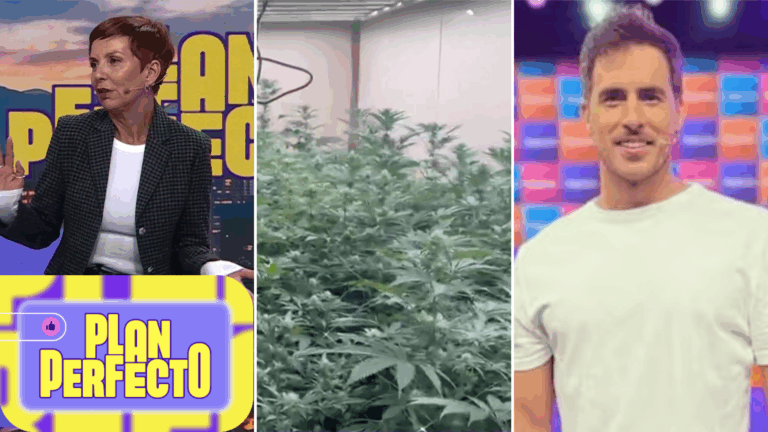 “Yo tengo receta canábica”: Fran García-Huidobro defendió uso medicinal de marihuana tras caso de Camilo Huerta
