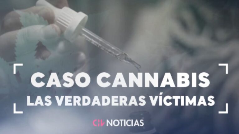 A FONDO | Las secuelas tras Operación Imperio de Ámsterdam: Pacientes temen quedar sin acceso a cannabis medicinal