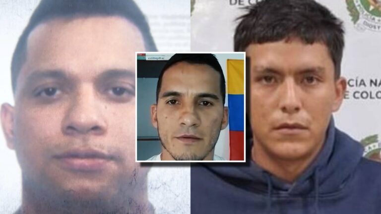 Los roles que tuvieron 