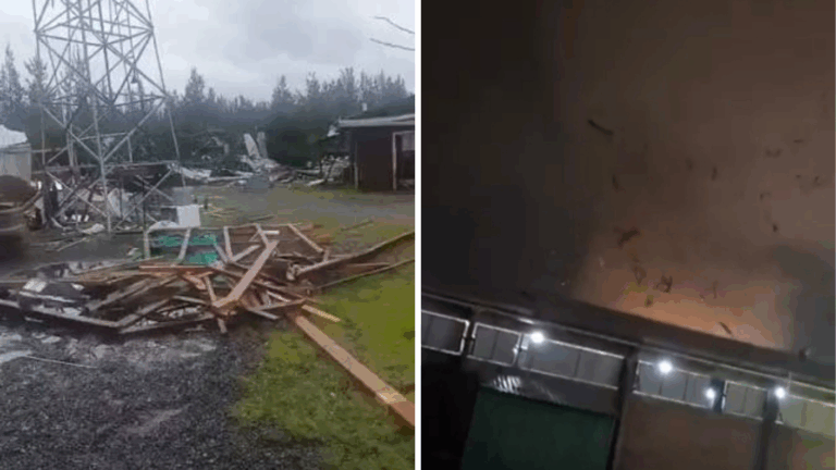 Tras tornado en el Ñuble: Gobierno confirma que 30 casas sufrieron daños graves