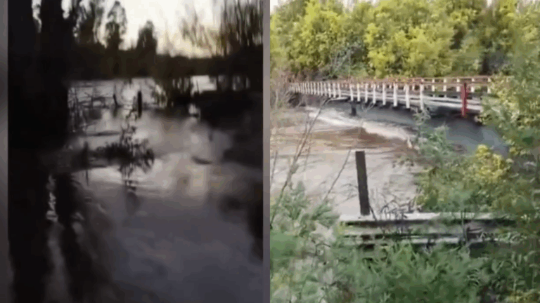 En pleno sistema frontal: 50 personas debieron evacuar ante crecida de río en Traiguén