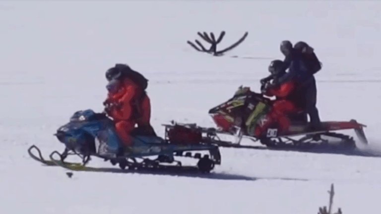 Captan a turistas en motos de nieve entre araucarias protegidas de la Reserva Nacional Malalcahuello