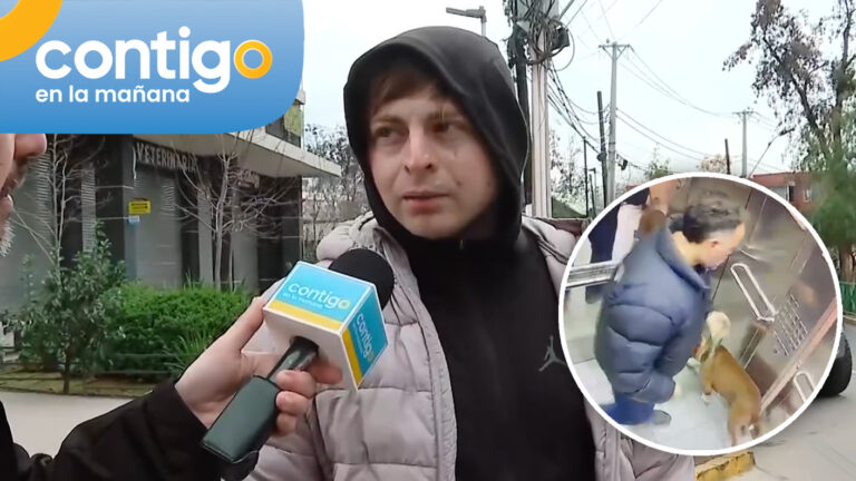 “Es una persona violenta”: Vecino de Ñuñoa entregó antecedentes del hombre que agredió a perrito en un ascensor