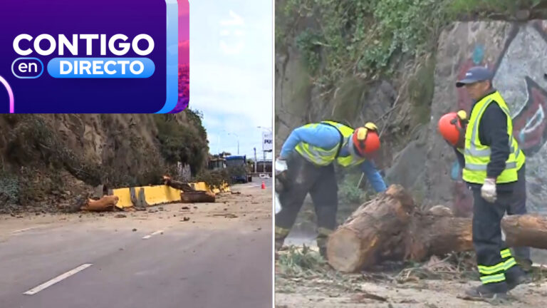 Emergencia en Viña del Mar: Derrumbe de ladera tiene suspendido el tránsito en sector de Recreo