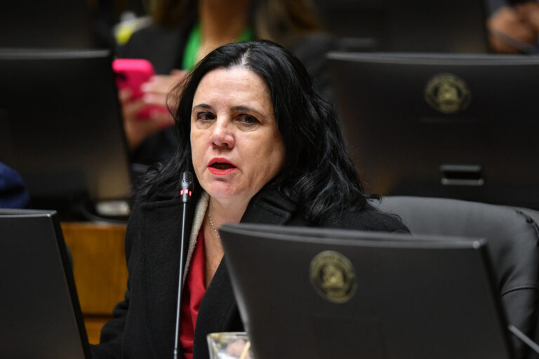Por tercera vez: Steinert se ausenta de comisión investigadora y deberá fijar nueva fecha