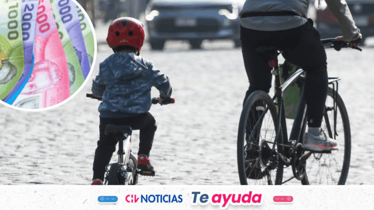 Nuevo bono de $30 mil por hijo: Revisa con tu RUT si lo cobras y si tienes prioridad para obtenerlo