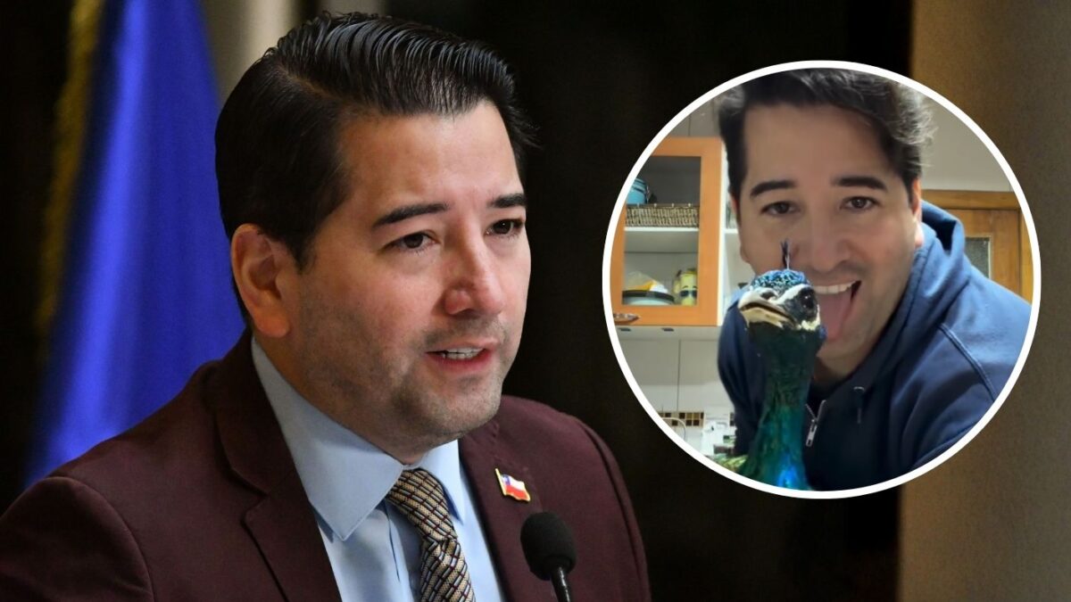 Photo: Chilevisión Javier Olivares critiqué après avoir coupé les ailes de ses paons