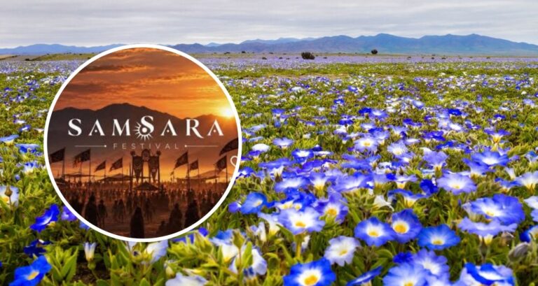 Polémica por festival de electrónica vinculado al desierto florido: GORE se desmarca del evento