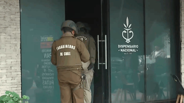 Médicos bajo la mira: La verdad tras los dispensarios de cannabis medicinal en Chile