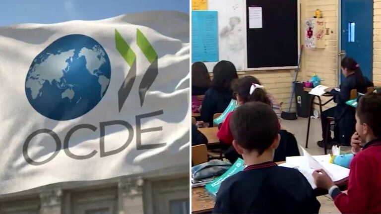 Alerta por informe OCDE: 23,4% de los profesores de colegios públicos no están plenamente calificados