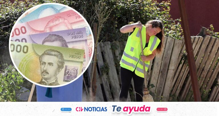 Nuevo Subsidio Unificado al Empleo: Quiénes pueden recibir hasta $185 mil mensuales y cuáles son los requisitos