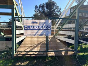 Alcalde Concha clausura medialuna ilegal utilizada para rodeos en Peñalolén