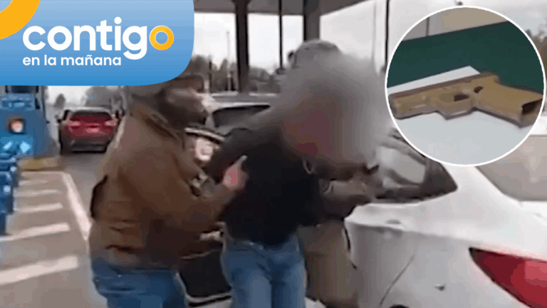 Detienen a chilenos que intentaban ingresar armas desde Argentina: Incautaron más de 10 elementos