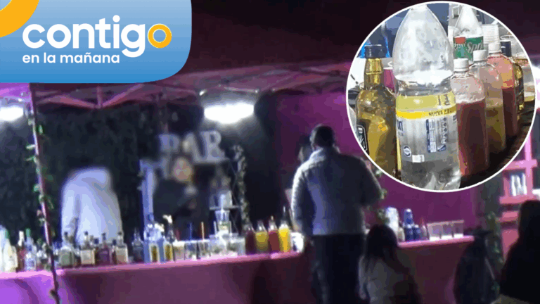 Ambulantes se tomaron el Parque O’Higgins y armaron un “mall callejero” del alcohol durante los conciertos