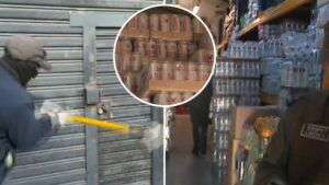 Clausuran bodega clandestina de licores en Independencia: Municipio asegura que abastecían botillerías ilegales en la comuna