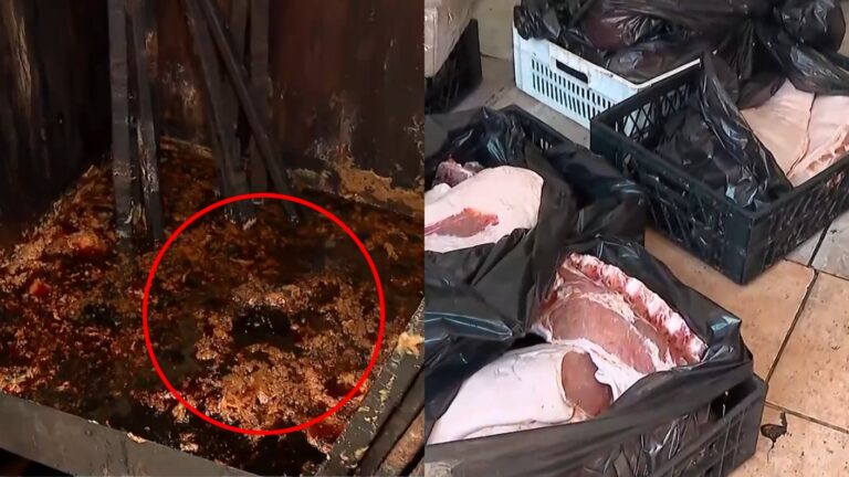 Decomisan 400 kilos de carne en mal estado a días de Fiestas Patrias: Estaban listos para ser vendidos