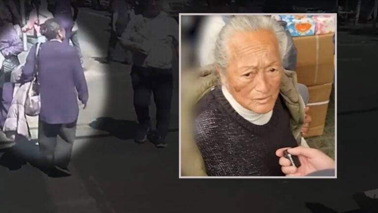 Así operaba la mujer 82 años que robaba celulares en Barrio Meiggs