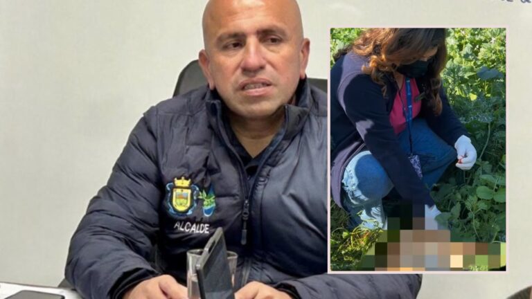 Investigan envenenamiento masivo de perros en Olmué: Municipio anunció querella