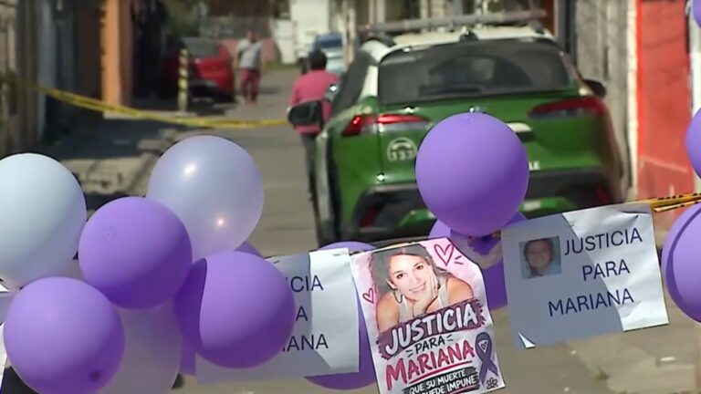 Caso Mariana Sepúlveda: Buscan que crímenes no tengan prescripción