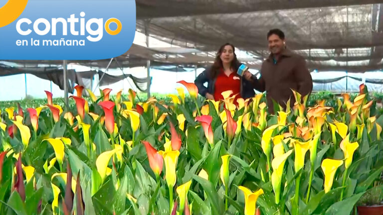 ¡Comienza la primavera! Gino Costa llegó hasta Vivero Hijuelas para celebrar este día rodeado de flores