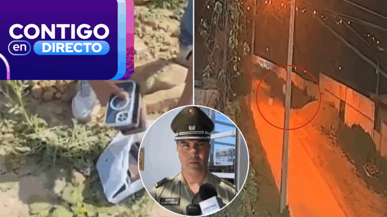 Banda peruana llegó dos días antes de Fiestas Patrias para robar celulares en La Pampilla: Así operaban