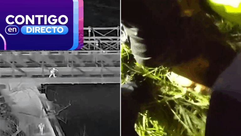 VIDEO | Se lanzó al Mapocho para escapar: Así fue intensa persecución a hombre que robó a mujer en Providencia
