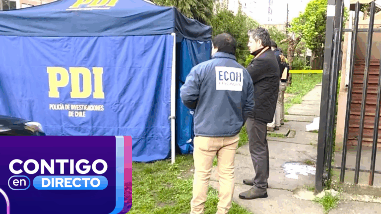 Cuatro homicidios en menos de tres semanas: Nuevo crimen genera alarma en sector residencial de Concepción