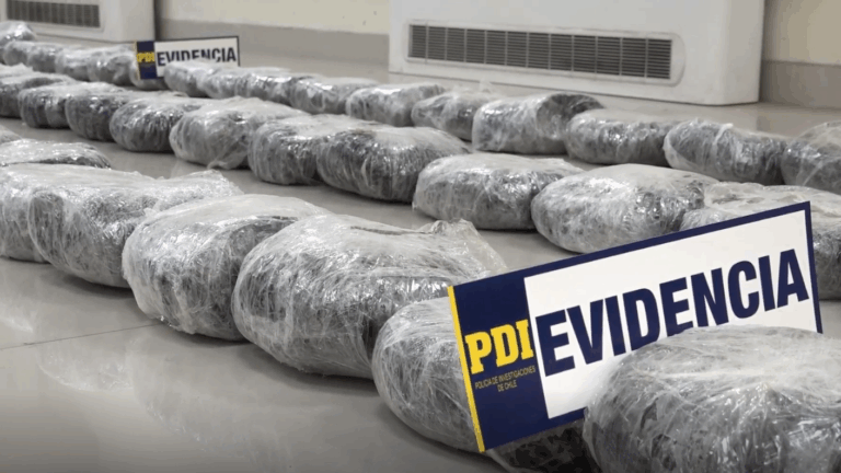 Cae organización criminal transnacional: PDI incautó 811 kilos de marihuana