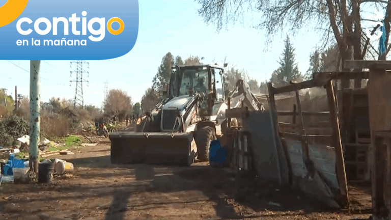 Demolición y desalojo en terreno tomado en La Florida: Tenían caballos, burros y hasta gallinas