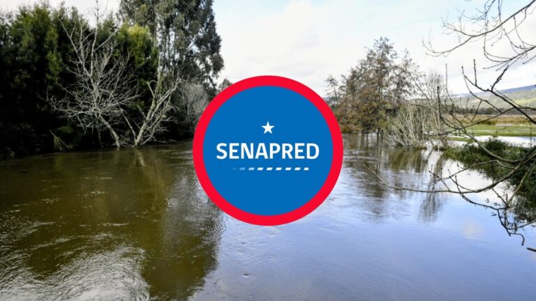 Declaran alerta roja por desbordes de río en comunas de La Araucanía y Los Ríos