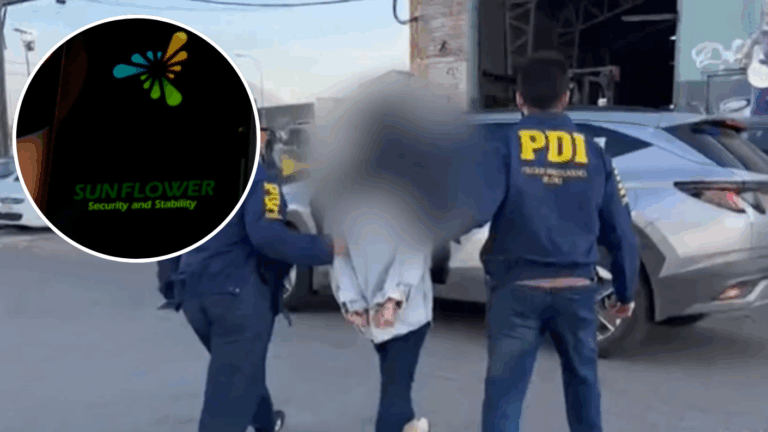 Prometía hacer crecer tu dinero: Detienen a presunta coautora de estafa piramidal en redes sociales