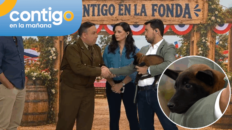 “Voy a pedir permiso”: Eduardo de la Iglesia se flechó con cachorro de Carabineros y lo apadrinó EN VIVO
