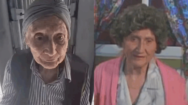 Quién es Guillermina, 