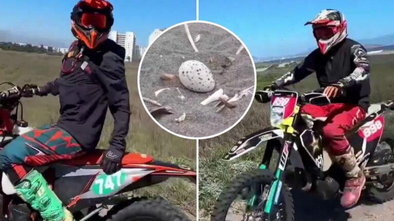 Indignación en La Serena: Voluntarios increparon a motociclistas circulando en el humedal Río Elqui