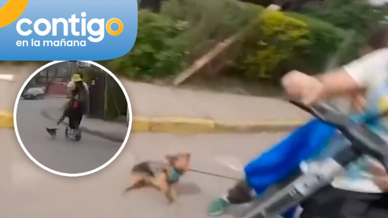 Indignante caso de maltrato animal: Pareja en scooter llevaba a perro amarrado y corriendo a gran velocidad