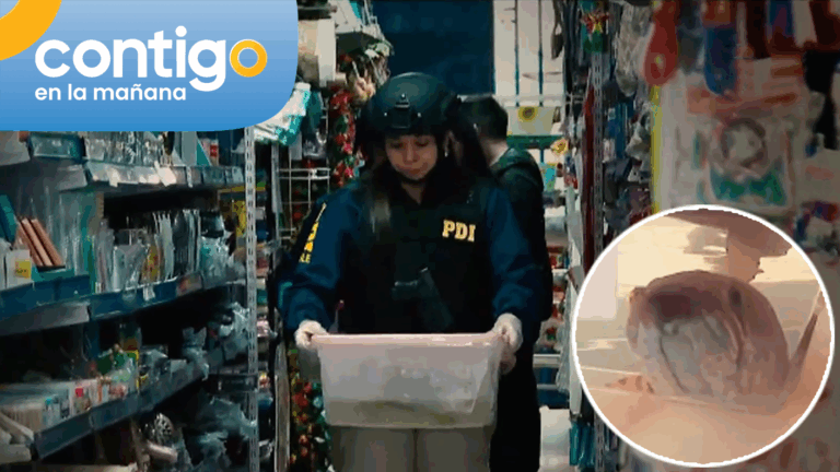 Mall chino habría actuado como fachada: Hallazgo de peces y tortugas peligrosas y prohibidas en Chile