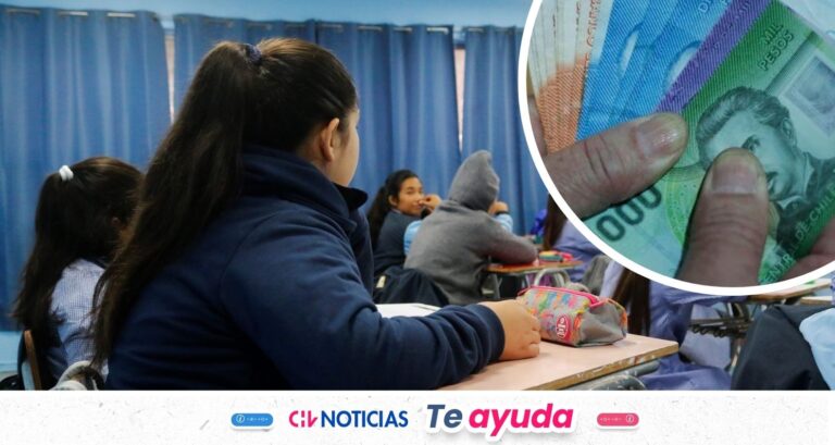 Comenzó el pago del Bono Logro Escolar 2026: Consulta con tu RUT si accedes a los $85 mil