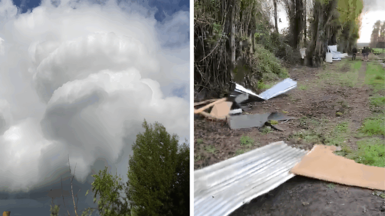 Reportan diversos daños tras paso de tornado por sectores de Longaví: Revisa aquí los registros que dejó