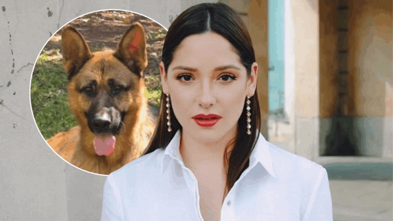 Kel Calderón ofrece millonaria recompensa tras muerte de 3 perros en su casa: acusó envenenamiento