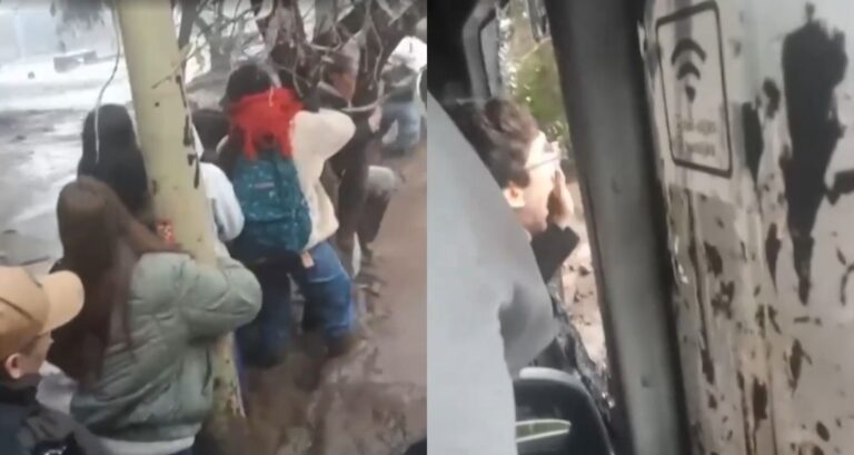 VIDEO | Pasajeros se aferraron a árboles tras salir de micro arrastrada por aluvión en Las Condes