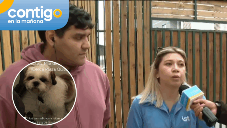 Tras doble robo de perros de raza: Vecinos de Quilicura apuntan a posible criadero ilegal
