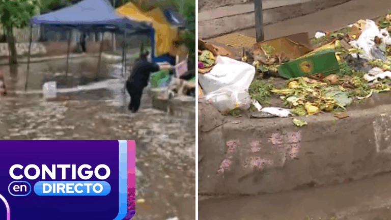 Lluvia inundó feria libre en Cerro Navia: Acumulación de basura empeoró la situación