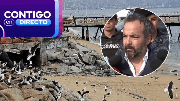 Encontraron heridas cortopunzantes en su cuerpo: Investigan muerte de mujer tras caer al mar en Caleta Portales