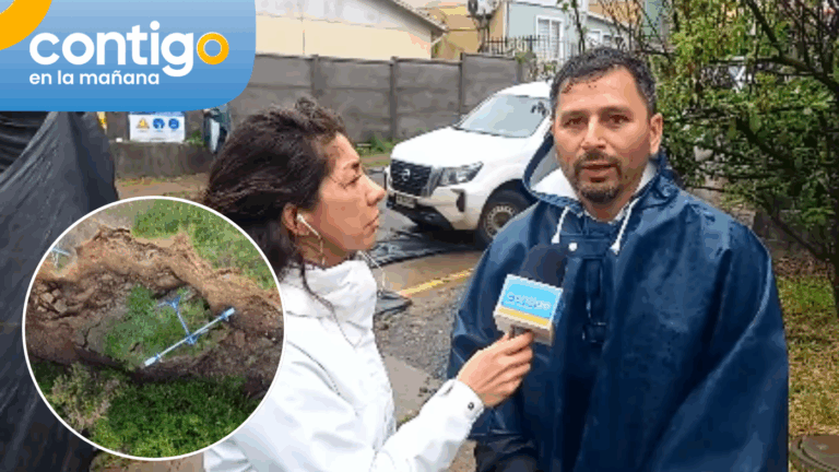 Autoridades llaman a evacuar a 150 familias por socavón en Arauco: Ninguna ha querido abandonar su casa