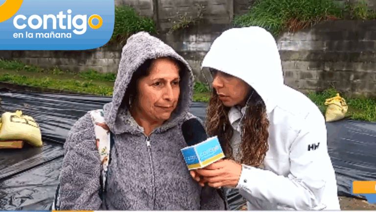 Vecina de Arauco acusa no haber recibido subsidio de arriendo prometido: No ha podido evacuar la zona