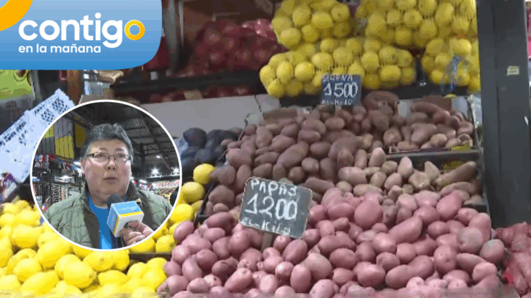 Tras masiva alza en precio de las papas: estas son las alternativas más económicas en verduras