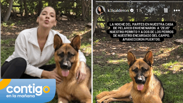 El desesperado llamado de Kel Calderón por saber quién envenenó a su perro: ofrece millonaria recompensa