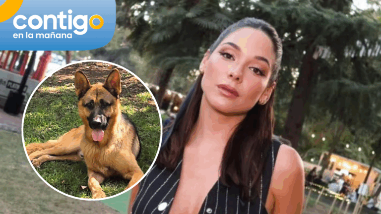 Kel actualizó el estado de la búsqueda de responsables de envenenamiento a su perro: 