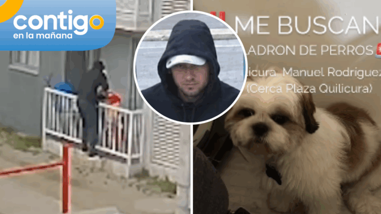 Familia desesperada por robo de mascota en Quilicura: Sospechan posible venta ilegal